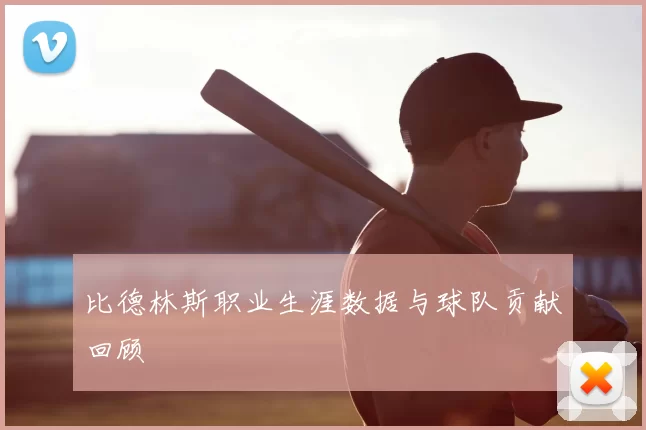 比德林斯职业生涯数据与球队贡献回顾