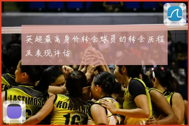 英超最高身价转会球员的转会历程及表现评估
