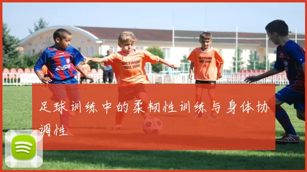 足球训练中的柔韧性训练与身体协调性