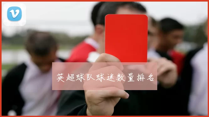 英超球队球迷数量排名