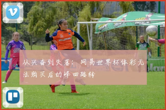 从兴奋到失落:网易世界杯体彩无法购买后的峰回路转