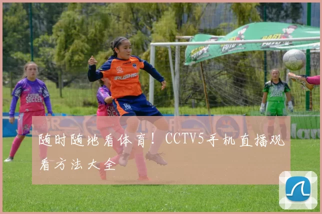 随时随地看体育！CCTV5手机直播观看方法大全