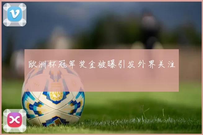 欧洲杯冠军奖金被曝引发外界关注