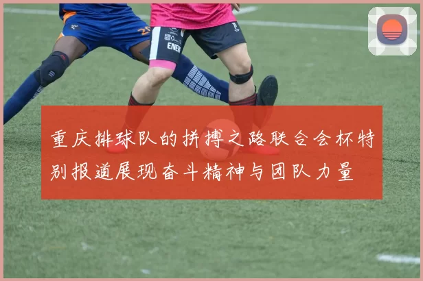 重庆排球队的拼搏之路联合会杯特别报道展现奋斗精神与团队力量
