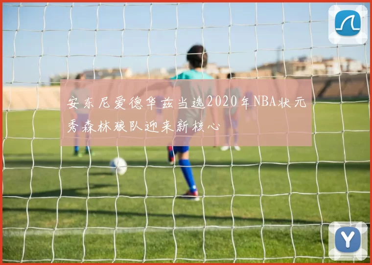 安东尼爱德华兹当选2020年NBA状元秀森林狼队迎来新核心