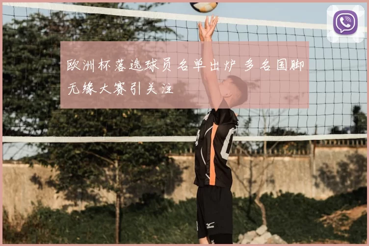 欧洲杯落选球员名单出炉 多名国脚无缘大赛引关注