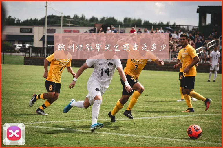 欧洲杯冠军奖金额度是多少