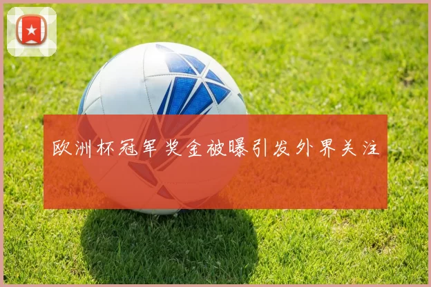 欧洲杯冠军奖金被曝引发外界关注