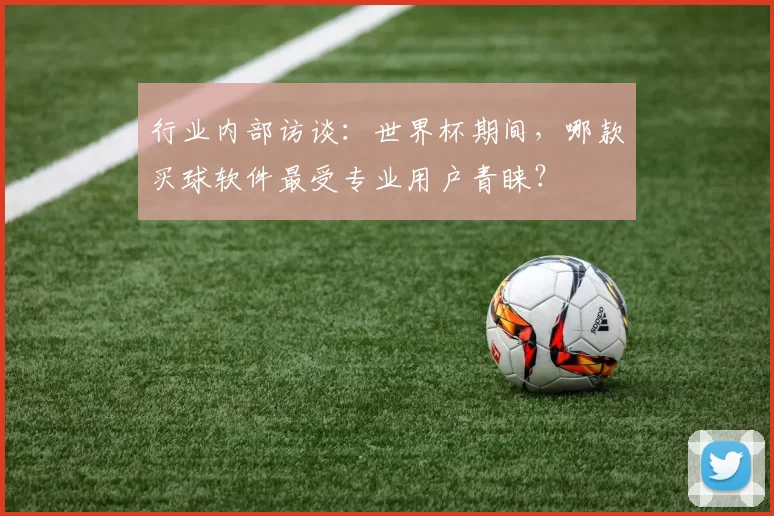 行业内部访谈:世界杯期间,哪款买球软件最受专业用户青睐?