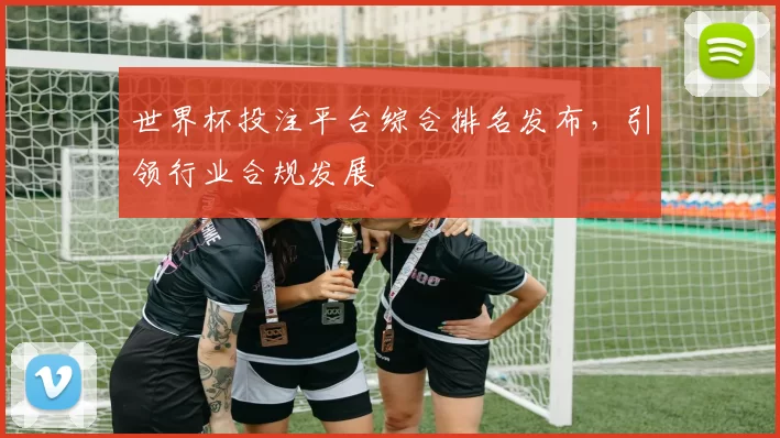 世界杯投注平台综合排名发布,引领行业合规发展
