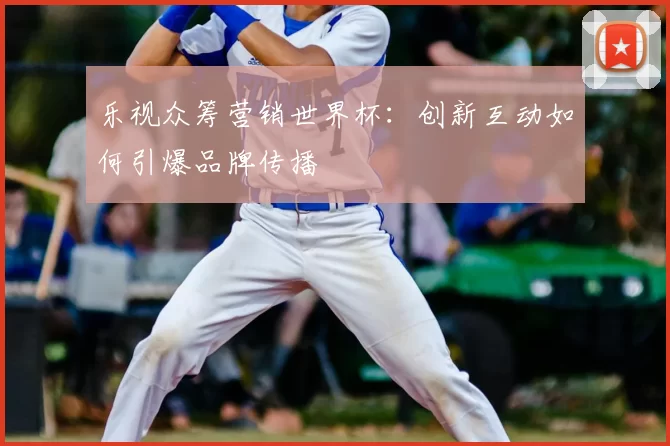 乐视众筹营销世界杯:创新互动如何引爆品牌传播