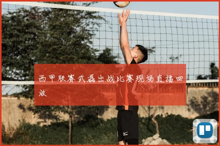 西甲联赛武磊出战比赛现场直播回放