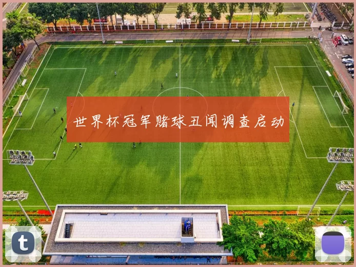 世界杯冠军赌球丑闻调查启动