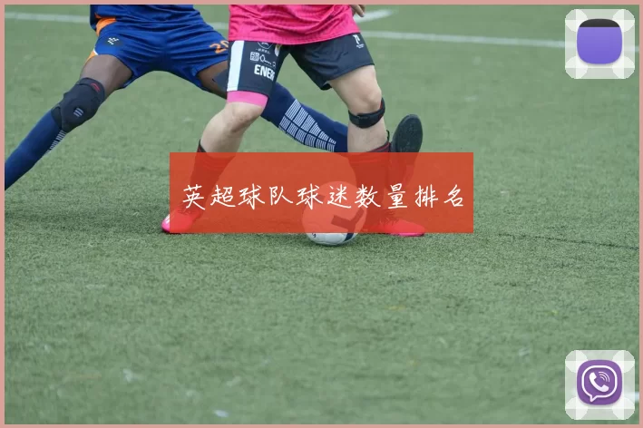 英超球队球迷数量排名