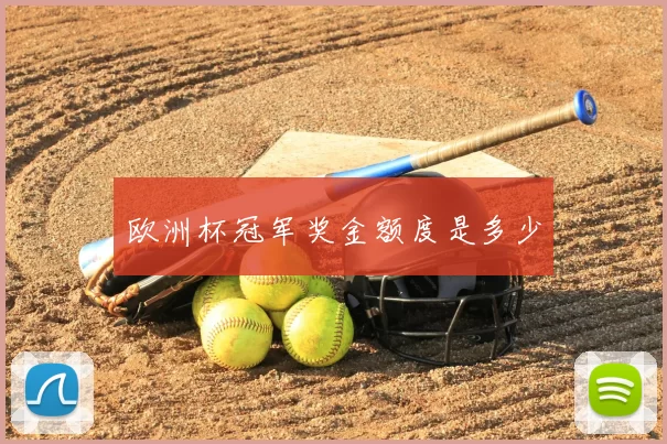欧洲杯冠军奖金额度是多少