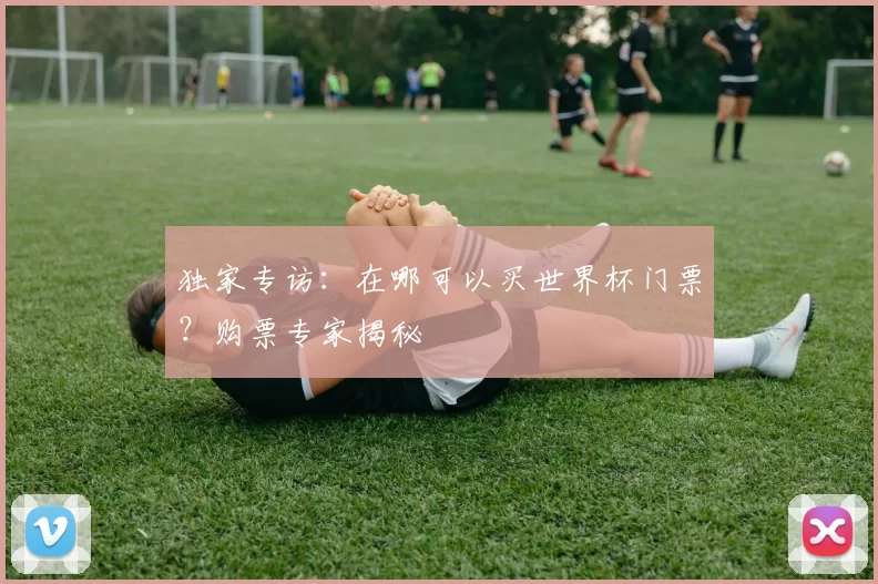 独家专访:在哪可以买世界杯门票?购票专家揭秘