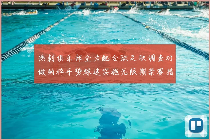 热刺俱乐部全力配合欧足联调查对做纳粹手势球迷实施无限期禁赛措施