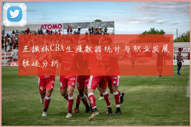 王振林CBA生涯数据统计与职业发展轨迹分析
