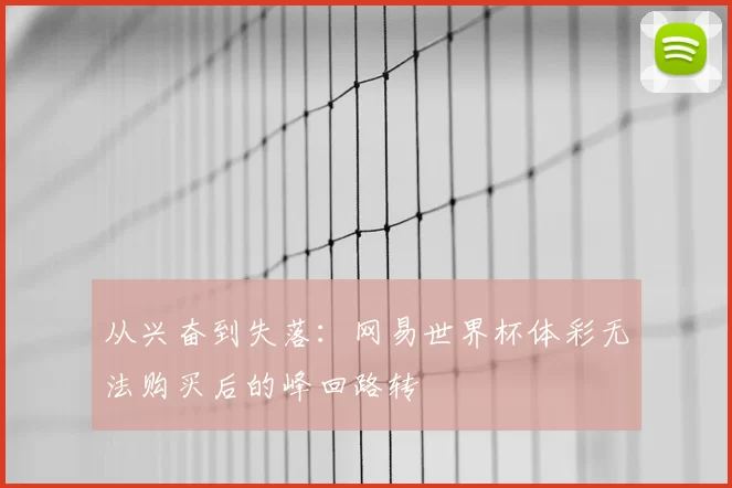 从兴奋到失落:网易世界杯体彩无法购买后的峰回路转