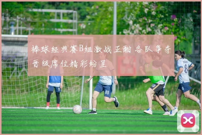 棒球经典赛B组激战正酣 各队争夺晋级席位精彩纷呈