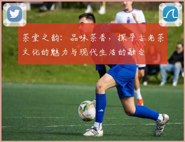 茶堂之韵:品味茶香,探寻古老茶文化的魅力与现代生活的融合