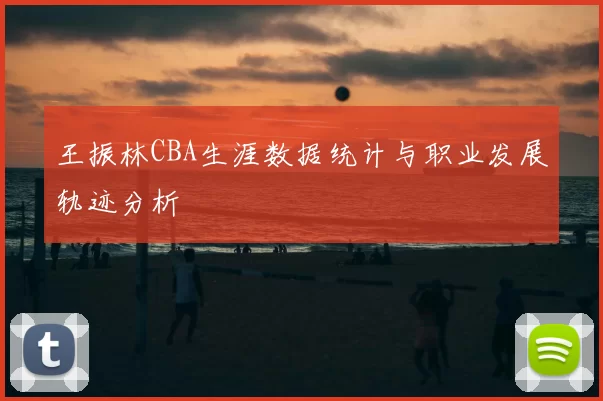 王振林CBA生涯数据统计与职业发展轨迹分析