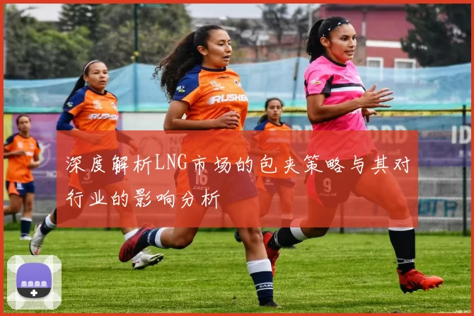 深度解析LNG市场的包夹策略与其对行业的影响分析