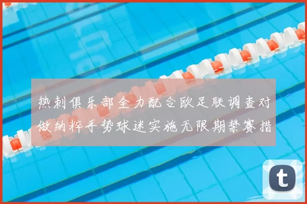 热刺俱乐部全力配合欧足联调查对做纳粹手势球迷实施无限期禁赛措施