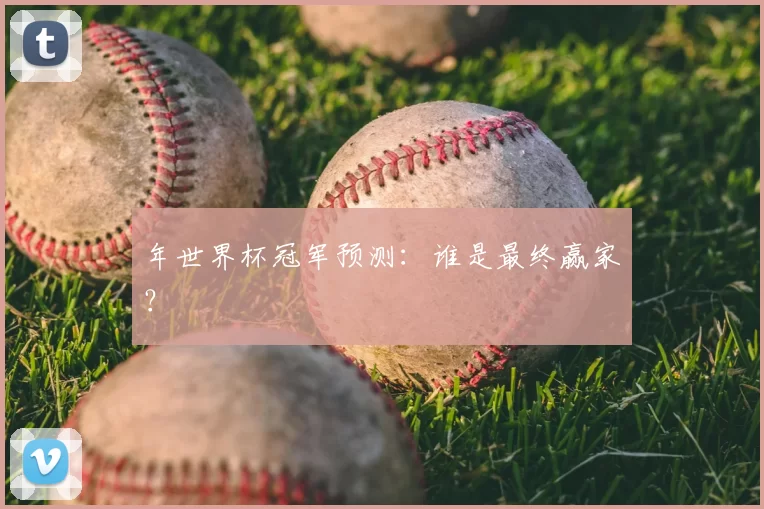年世界杯冠军预测:谁是最终赢家?