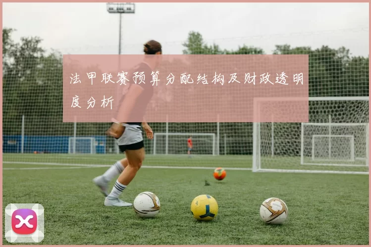 法甲联赛预算分配结构及财政透明度分析