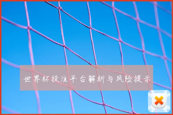 世界杯投注平台解析与风险提示