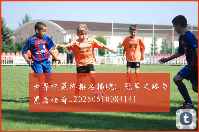 世界杯最终排名揭晓:冠军之路与黑马传奇_20260610084141
